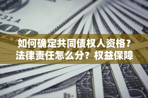 北京如何确定共同债权人资格？法律责任怎么分？权益保障技巧揭秘！