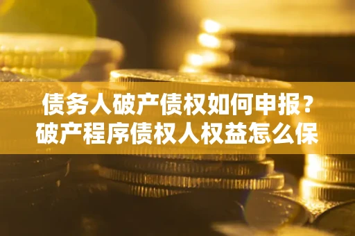 北京债务人破产债权如何申报？破产程序债权人权益怎么保障？