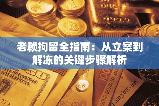 北京老赖拘留全指南：从立案到解冻的关键步骤解析