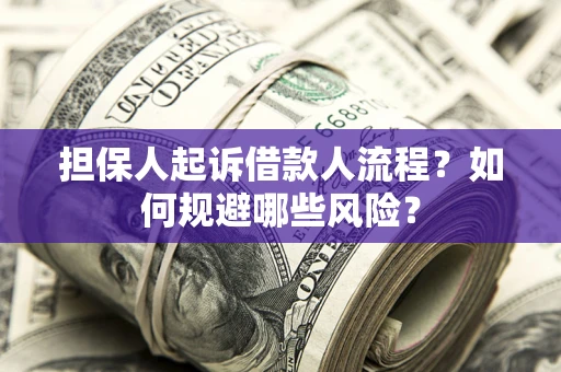 北京担保人起诉借款人流程？如何规避哪些风险？
