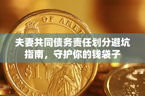 北京夫妻共同债务责任划分避坑指南，守护你的钱袋子